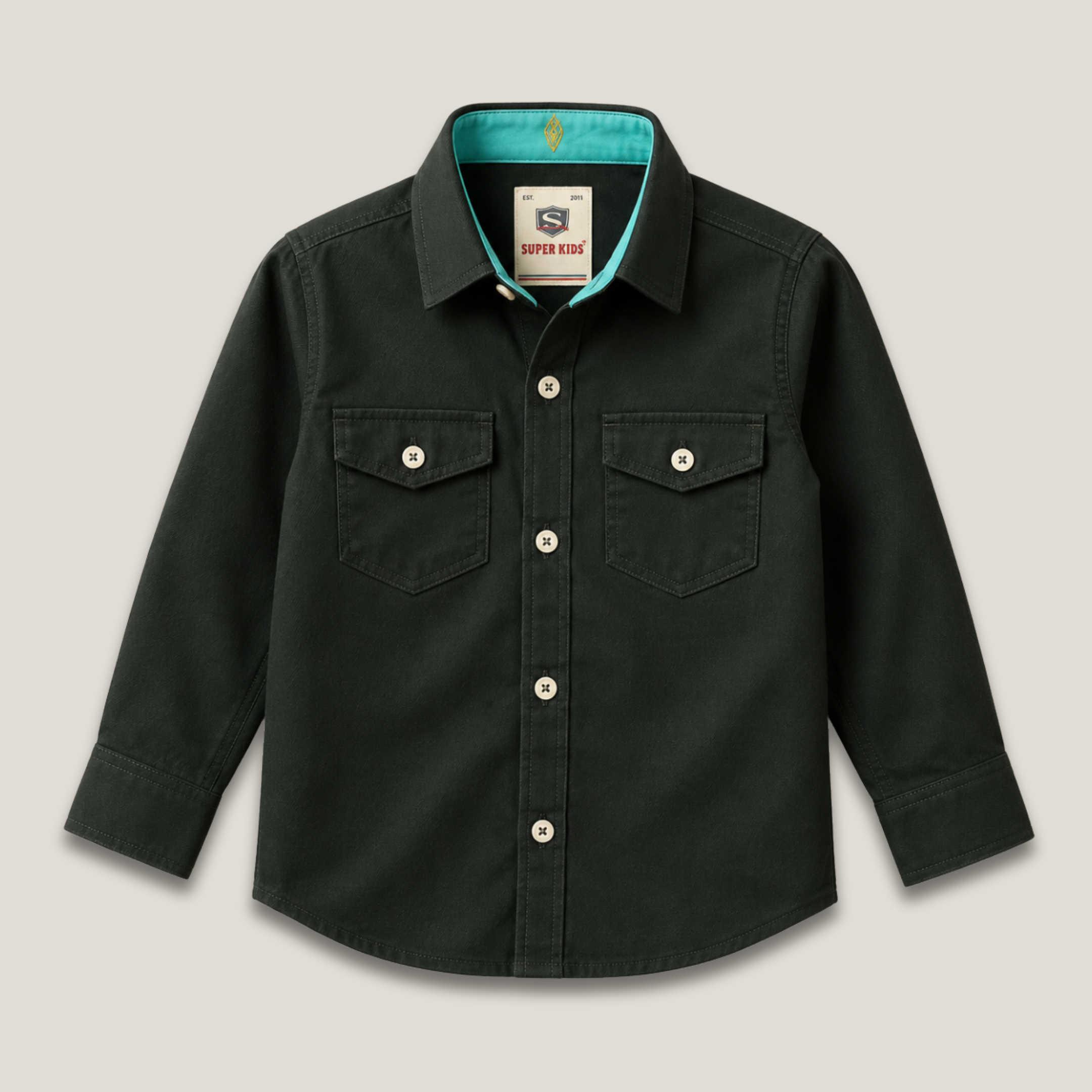 Buttom Down Casual Shirt
