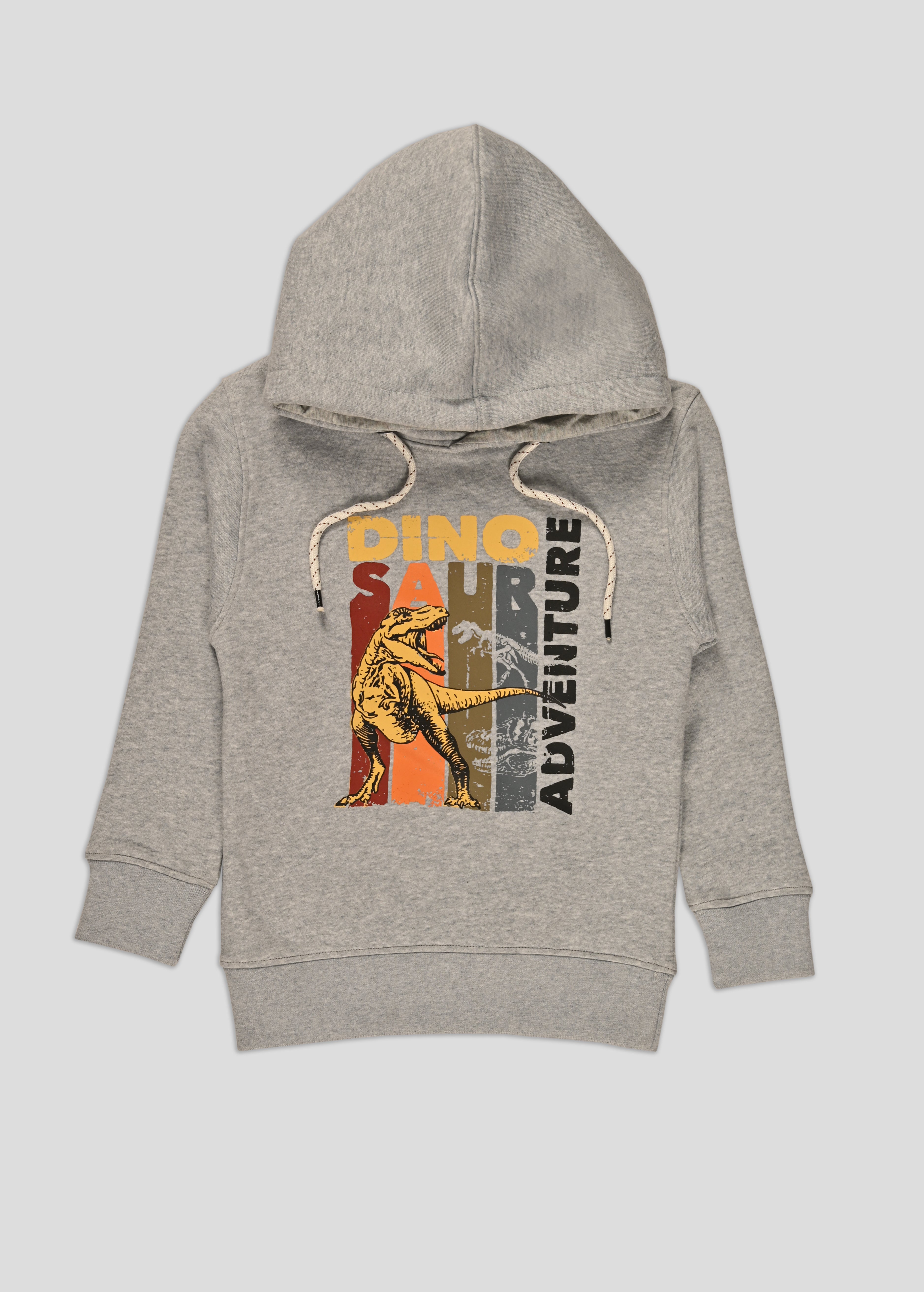Dinosaur Hoodie
