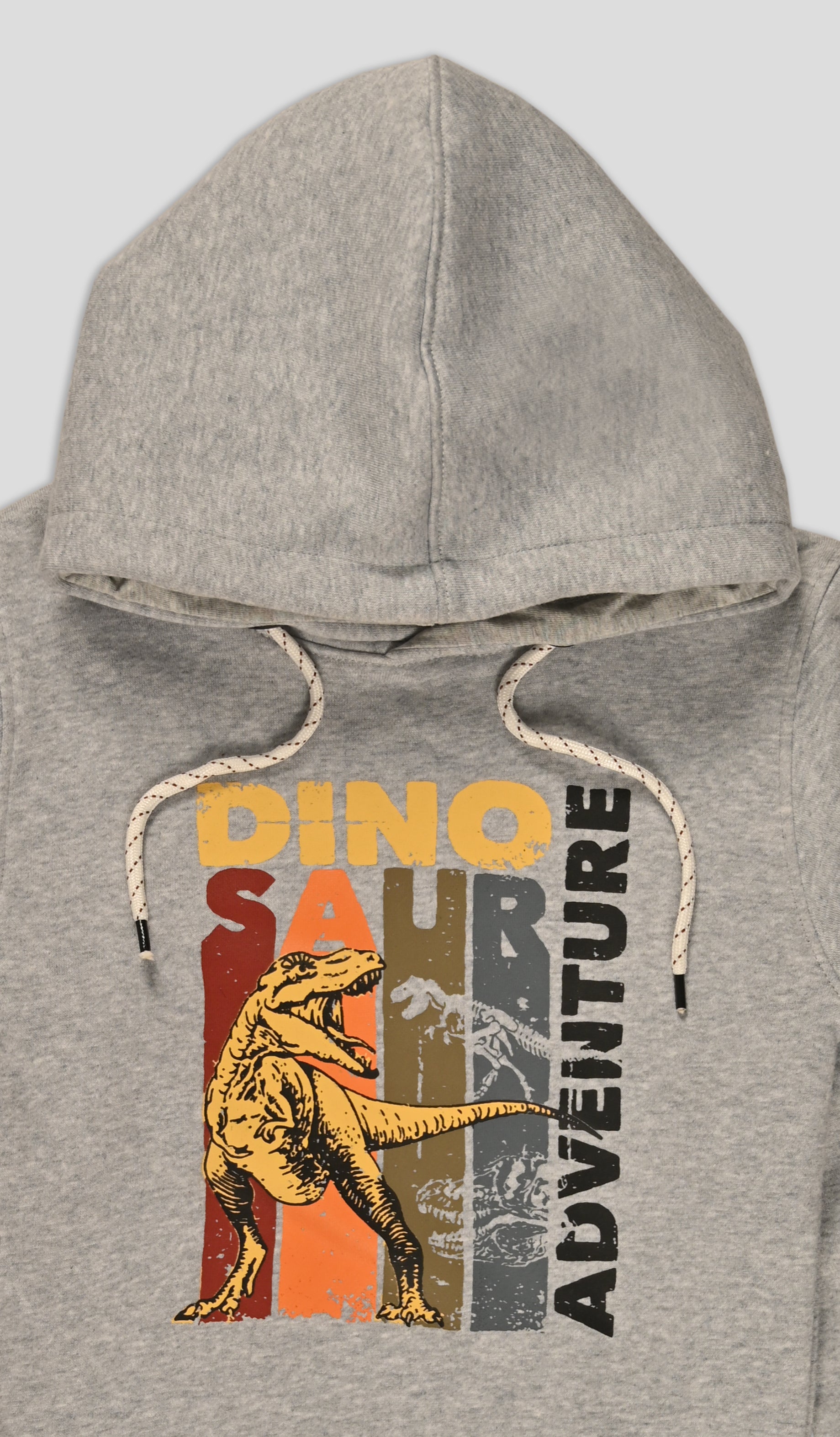 Dinosaur Hoodie