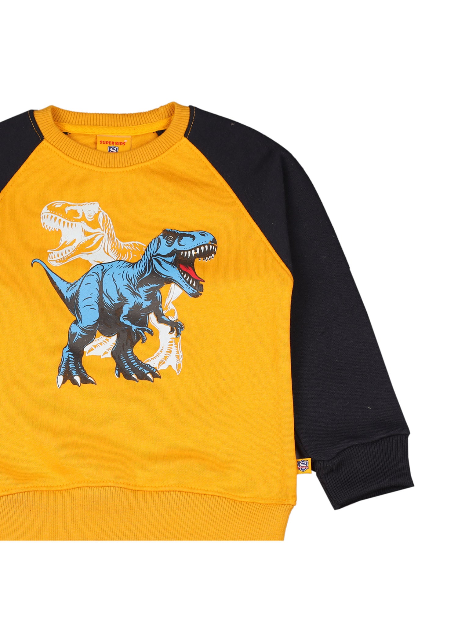 Dinosaur Grapic Raglan  Sweatshirt