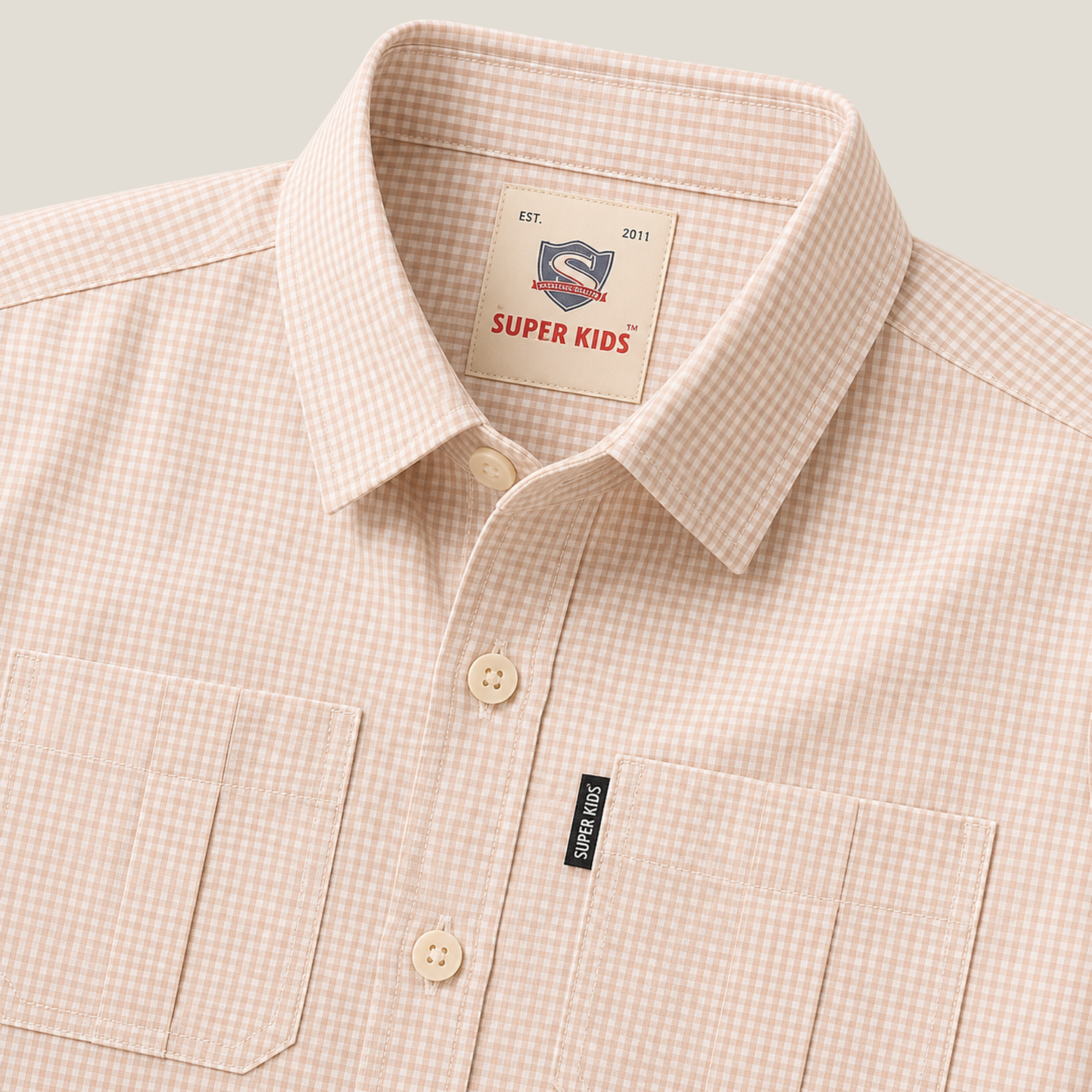Checked Buttom Down Casual Shirt
