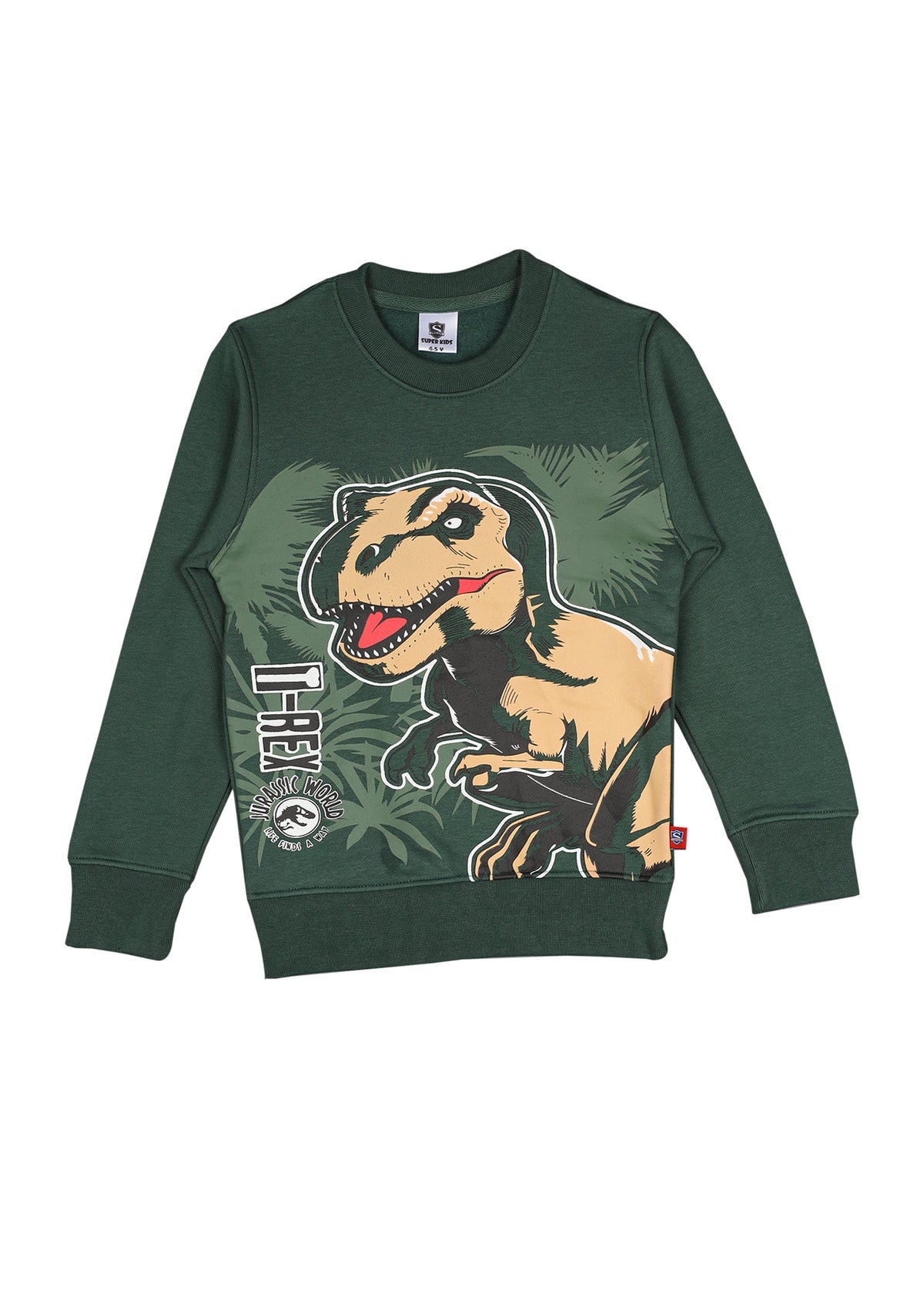 Dinosaur Grapic Sweatshirt