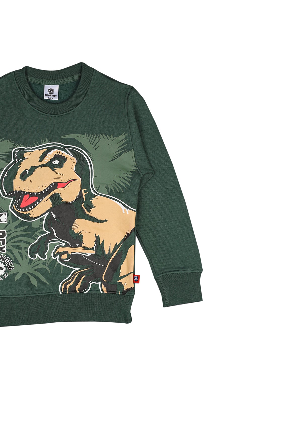 Dinosaur Grapic Sweatshirt